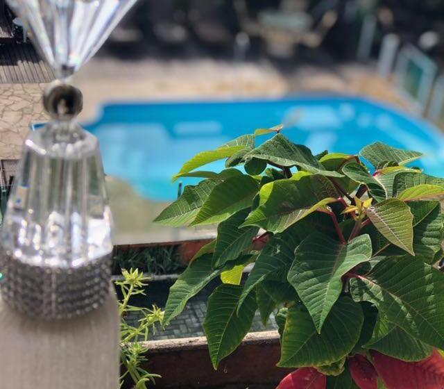 غرفة ديلوكس ثلاثية, Pousada Quinta Da Baleeira Mais Parque Terra Atlântica