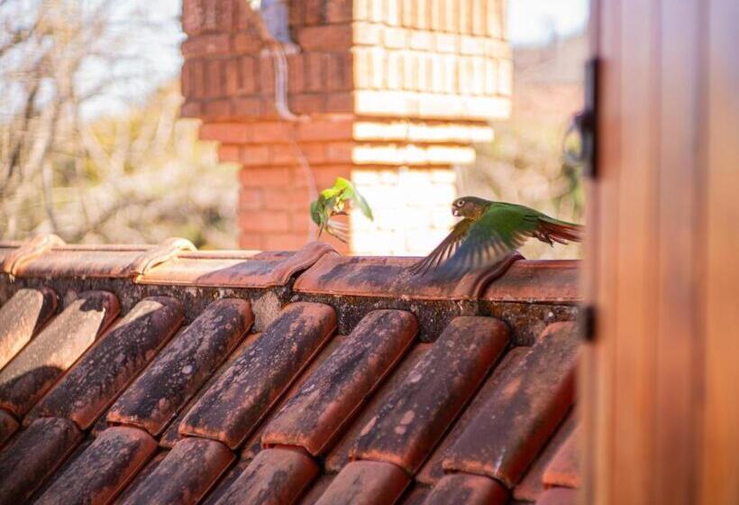 Quarto Familiar, Pousada Suiça Mineira Centro