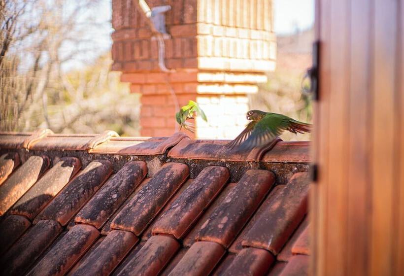 Номер Стандарт, Pousada Suiça Mineira Centro