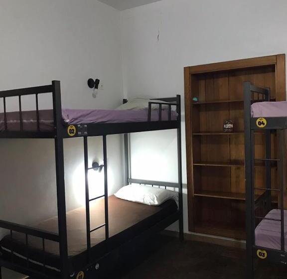 共用房间的床, Rock! And Hostel Bh