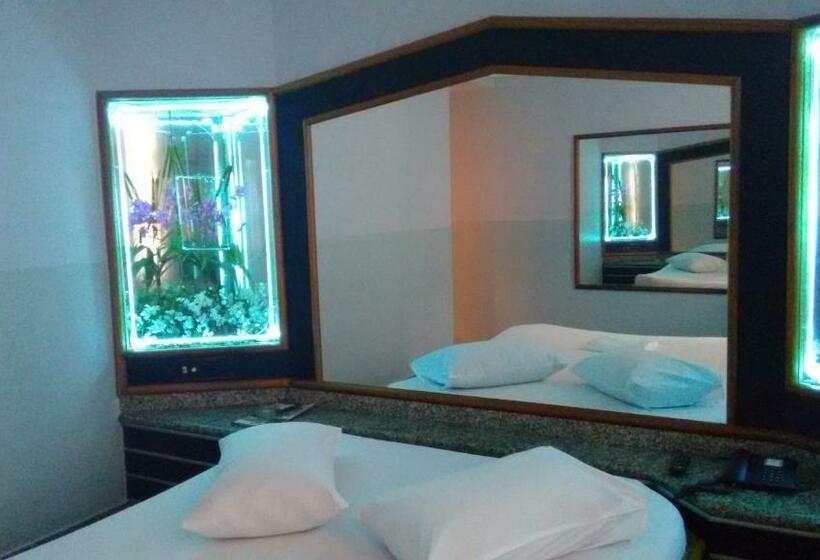 سوییت, Magnus Norte