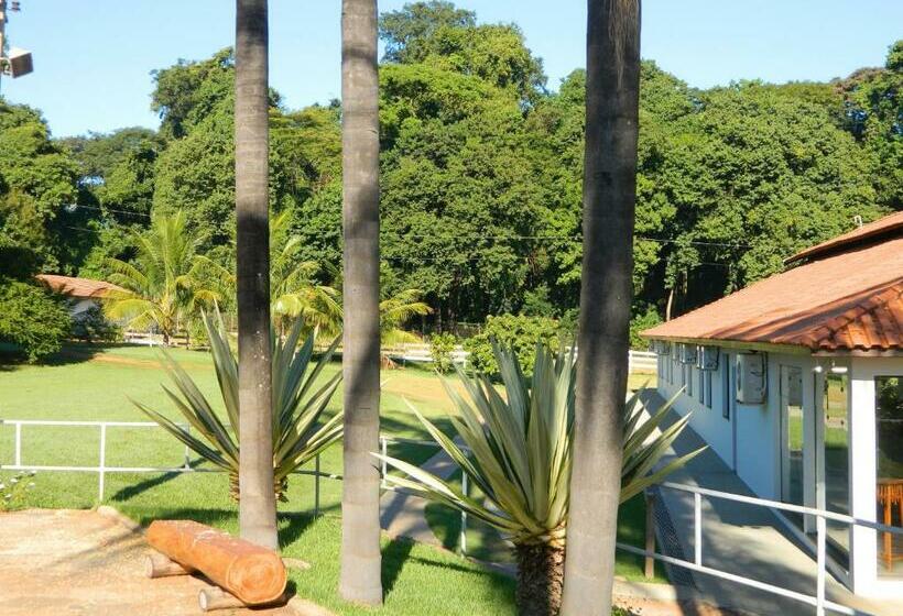 Номер Deluxe Одноместный, Recreio São Jorge