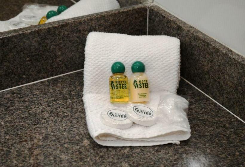 Номер Стандарт, áster