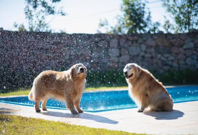 シャレー・スペリアー1寝室, Villa Rossa