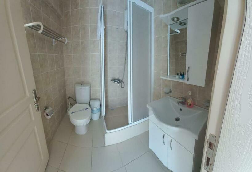 Номер Стандарт, Antonio