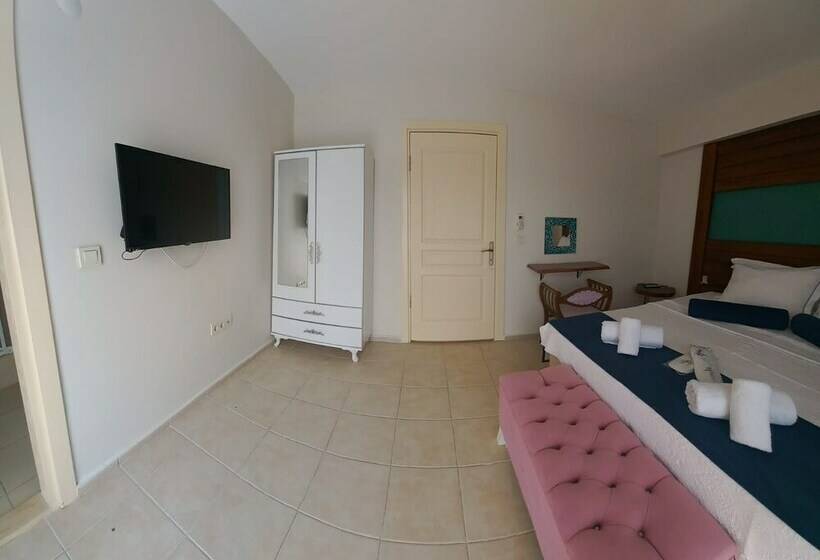 Номер Стандарт, Antonio