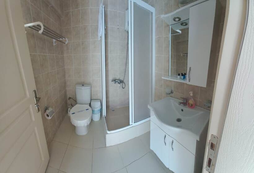 Номер Стандарт, Antonio