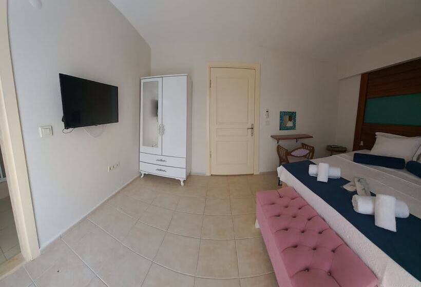 Номер Стандарт, Antonio