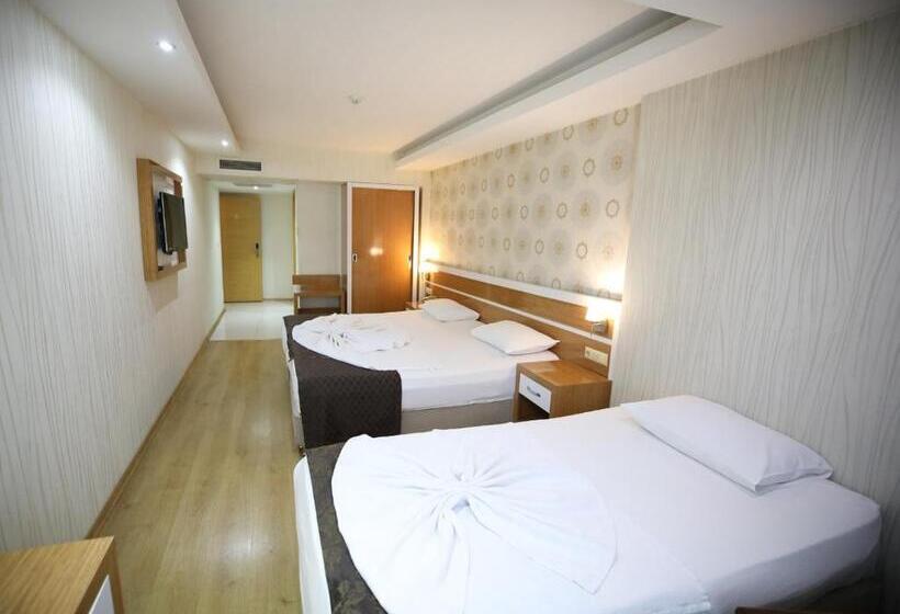 基本三人间, Bayazıt