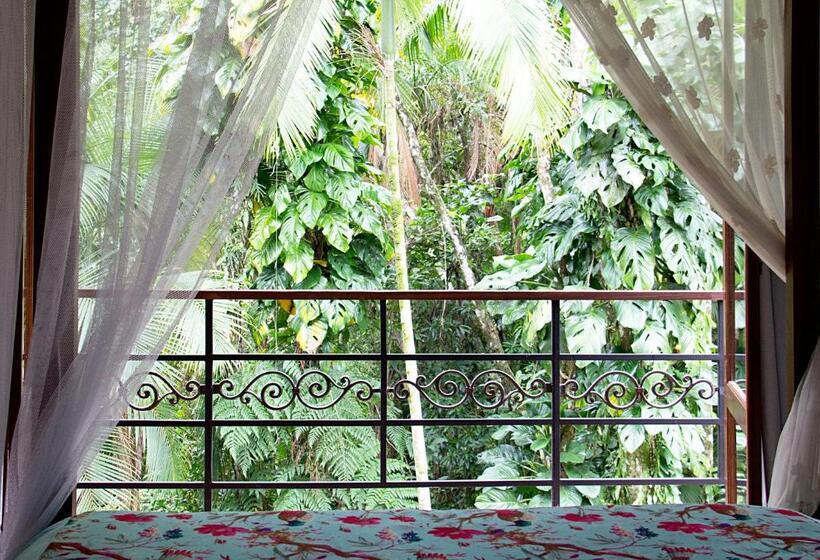 豪华套房, Estalagem Camburi