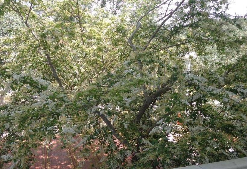 Номер Стандарт Вид на Горы, Villa Panorama