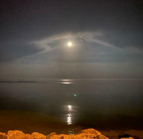 اتاق استاندارد با چشمانداز دریا, No Problem Pansiyon & Alkaya