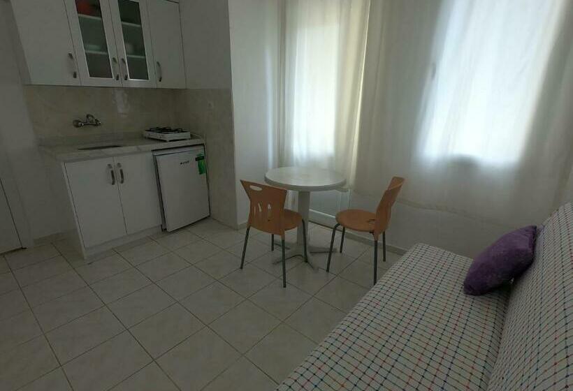 آپارتمان 1 خوابه با چشم‌انداز باغ, Sarıhan Apart Otel