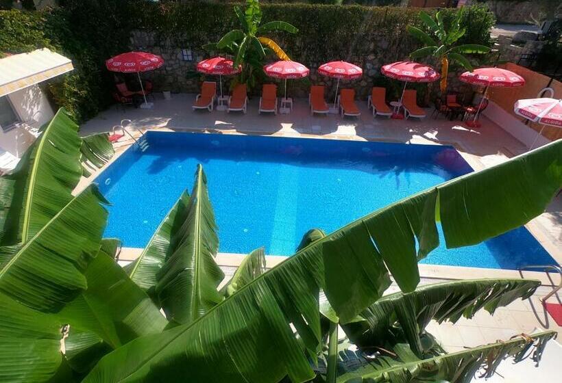 سوییت با چشم‌انداز استخر, Sarıhan Apart Otel