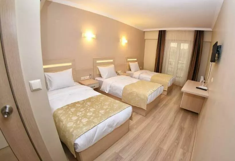 اتاق استاندارد سه نفره, Sonerbey Otel