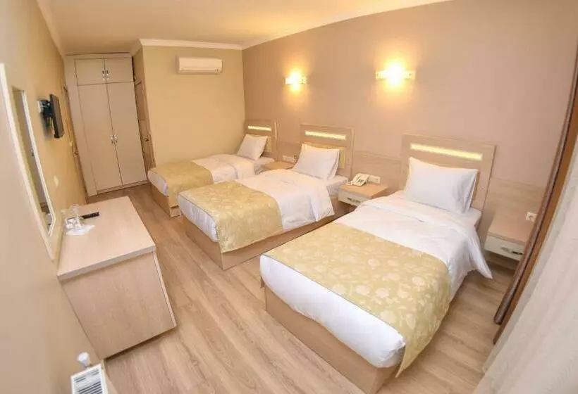 اتاق استاندارد سه نفره, Sonerbey Otel