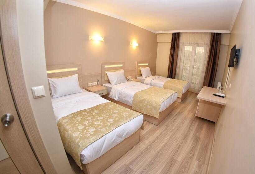 اتاق استاندارد سه نفره, Sonerbey Otel