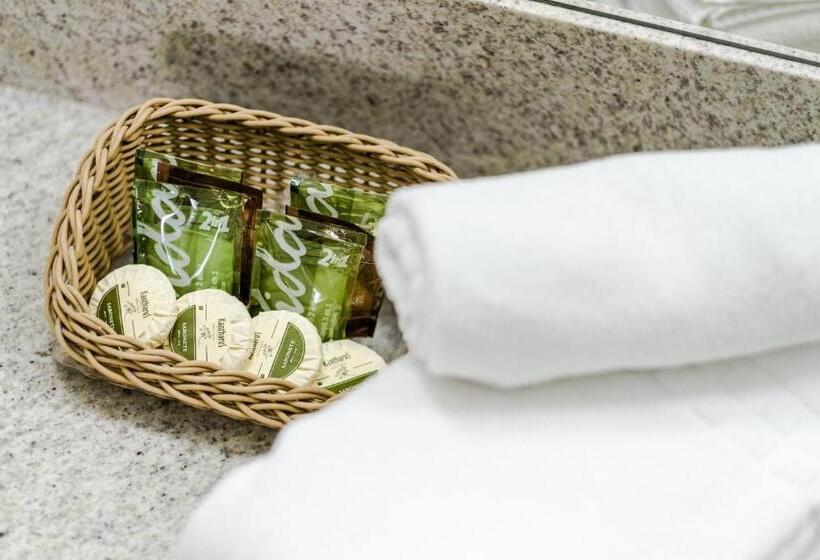 스위트, Vitoria Regia Hotel Bauru