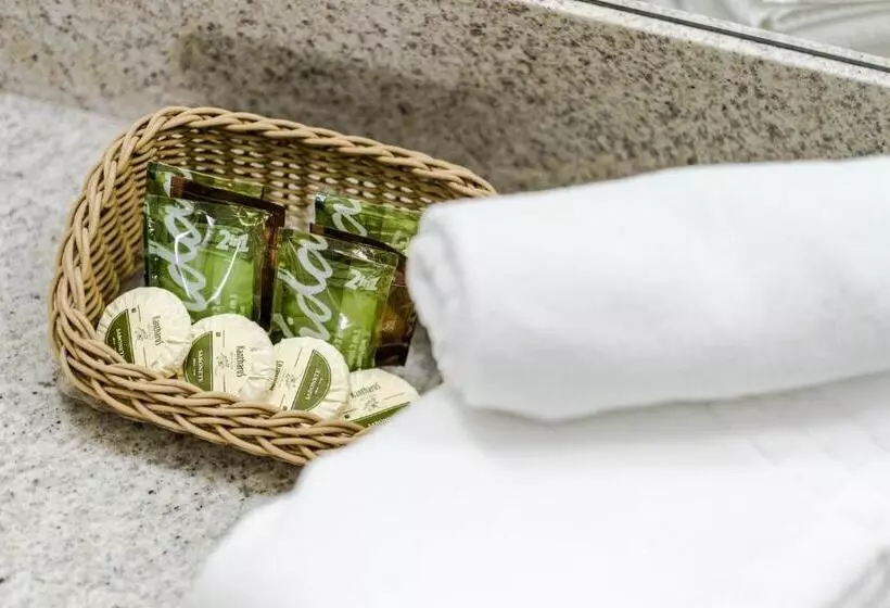 スイート, Vitoria Regia Hotel Bauru