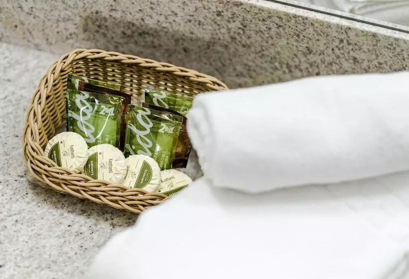 デラックスルーム, Vitoria Regia Hotel Bauru