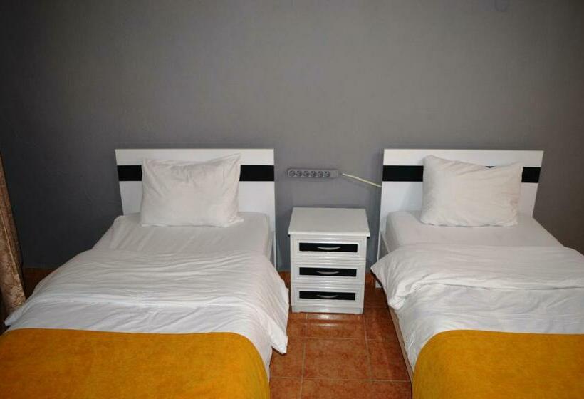 تختخواب در اتاق مشترک, Hostel Terra Vista