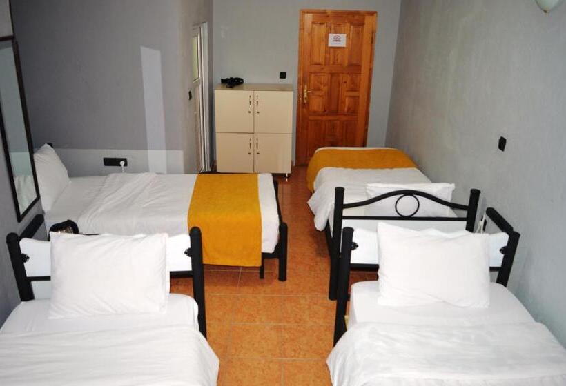 Четырехместный Номер Стандарт, Hostel Terra Vista