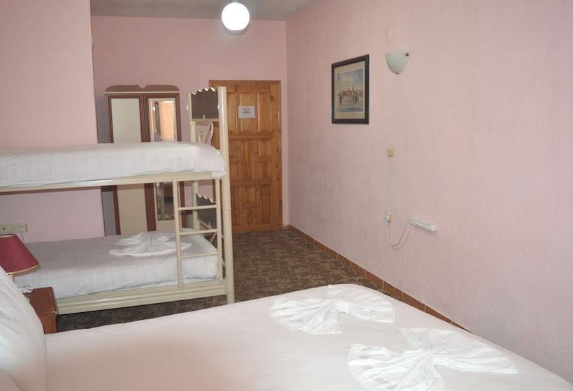 اتاق استاندارد چهار تخته, Hostel Terra Vista