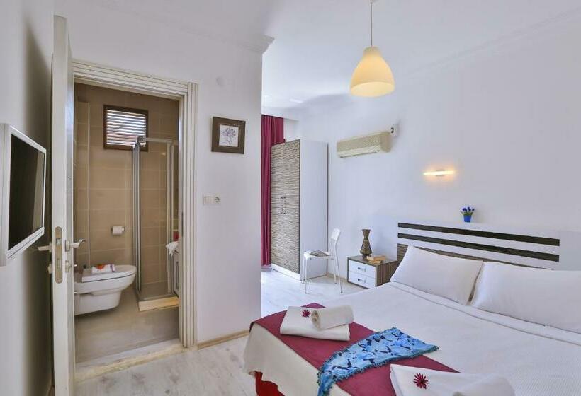 חדר סטנדרט, Antiphellos Pension Küçükçakıl