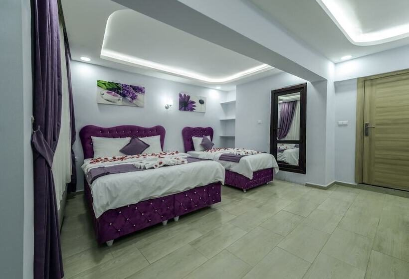 اتاق سوپریور سه تخته, Eren