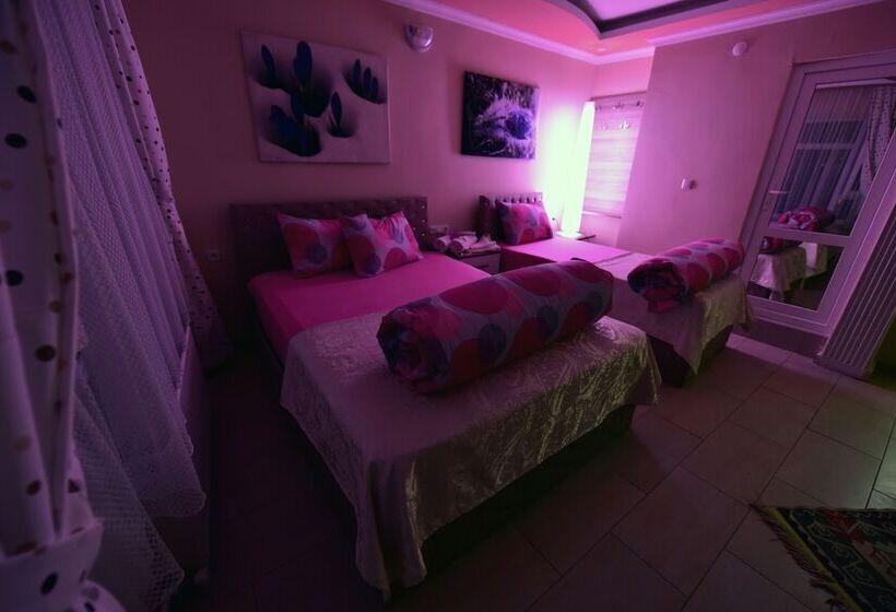 اتاق سوپریور سه تخته, Eren