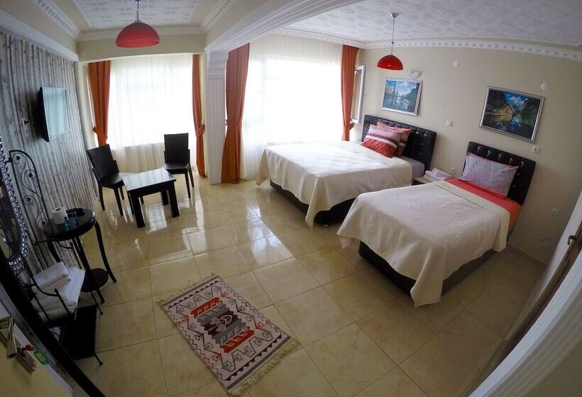 اتاق سوپریور سه تخته, Eren