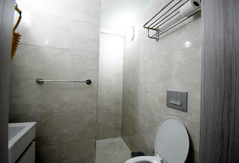 חדר סטנדרט, Eroglu City