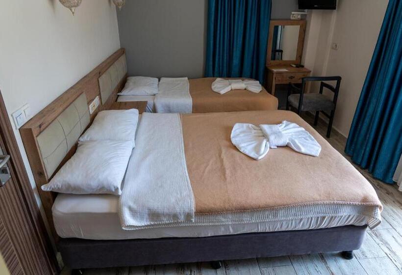 חדר סטנדרט לשלושה, Eroglu City