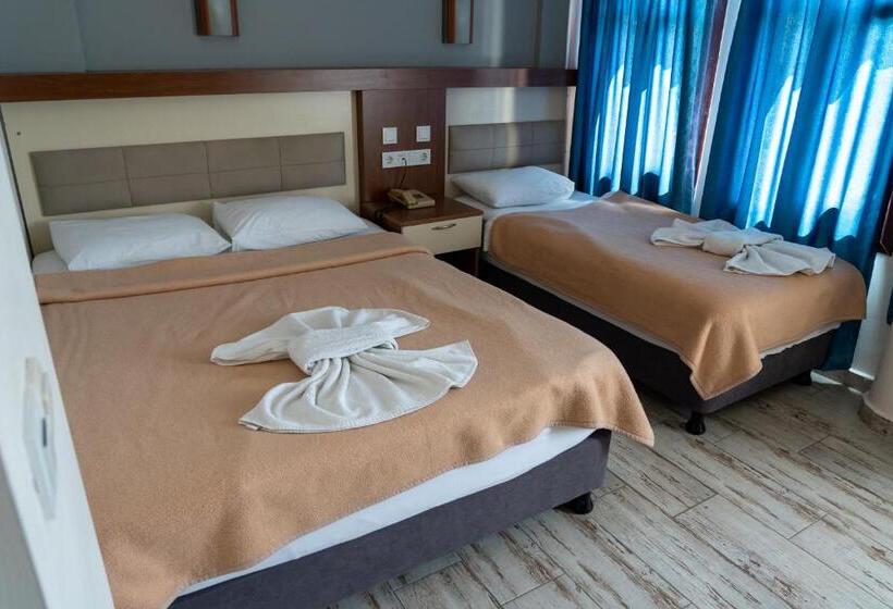 חדר סטנדרט לשלושה, Eroglu City