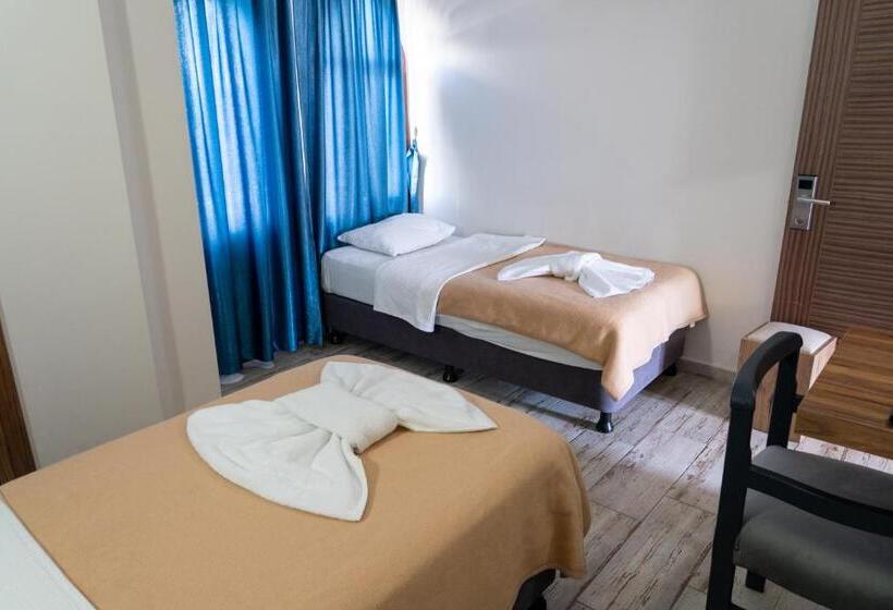 חדר סטנדרט, Eroglu City