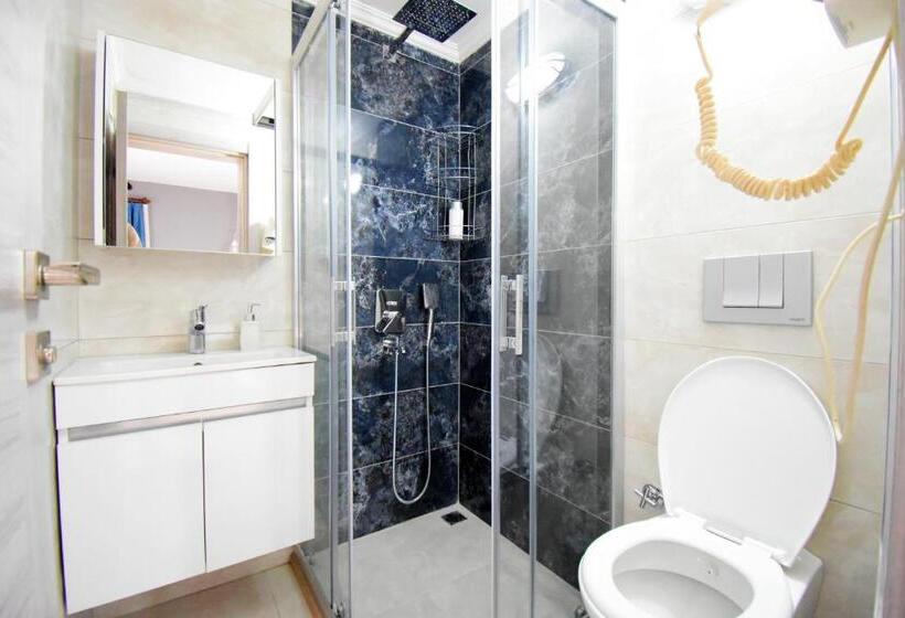 חדר סטנדרט, Eroglu City