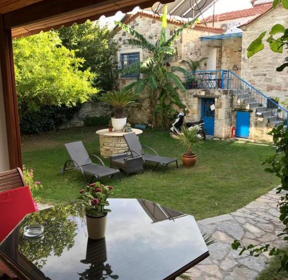 Standardstudio Trädgårdsutsikt, Foca Antik