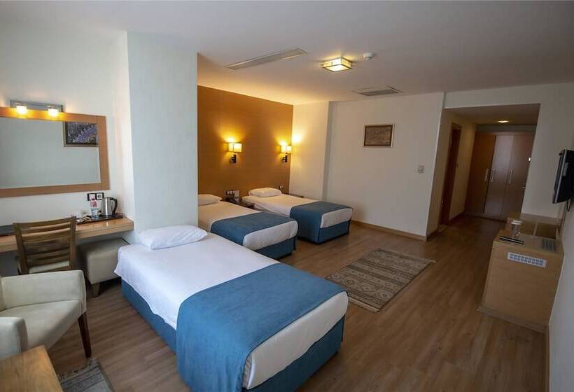 غرفة قياسية ثلاثية, Gaziantep Plaza