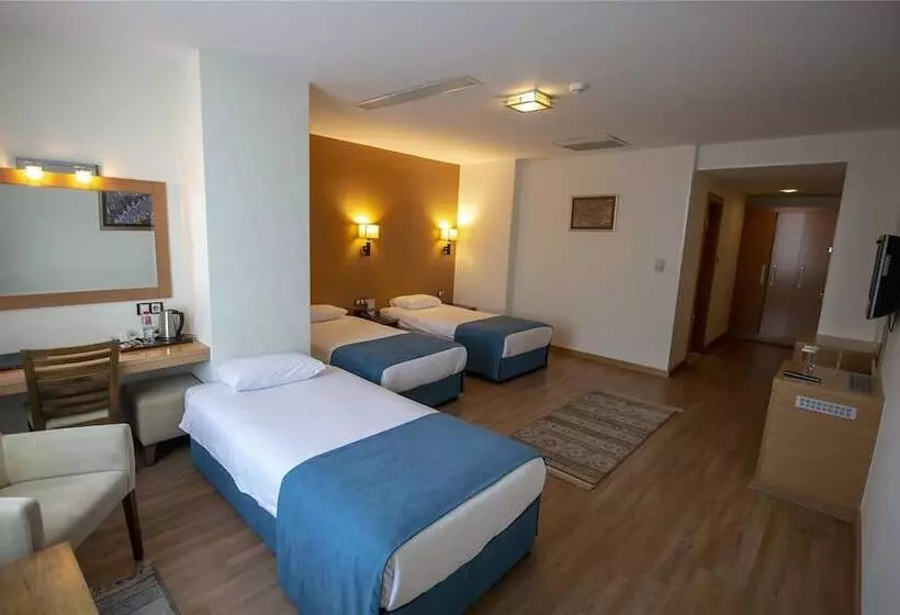 اتاق استاندارد سه نفره, Gaziantep Plaza