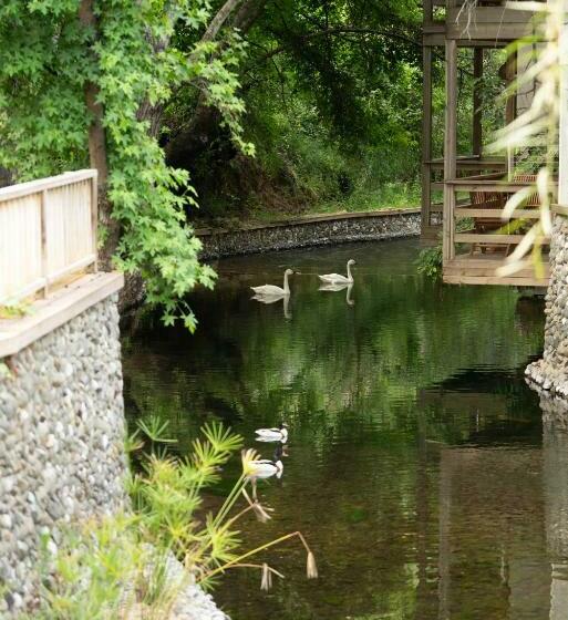 디럭스 룸, Golden Key Bordubet