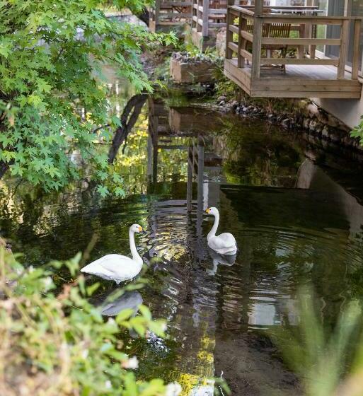 디럭스 룸, Golden Key Bordubet