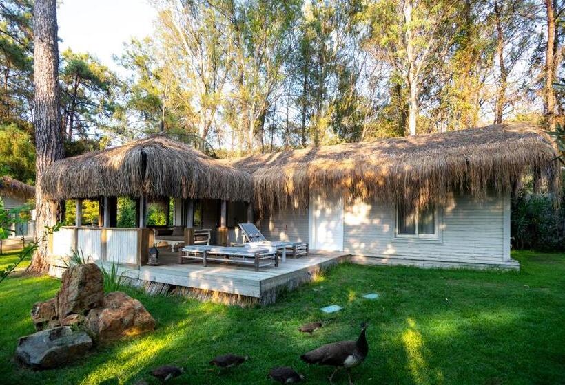 샬레, Golden Key Bordubet