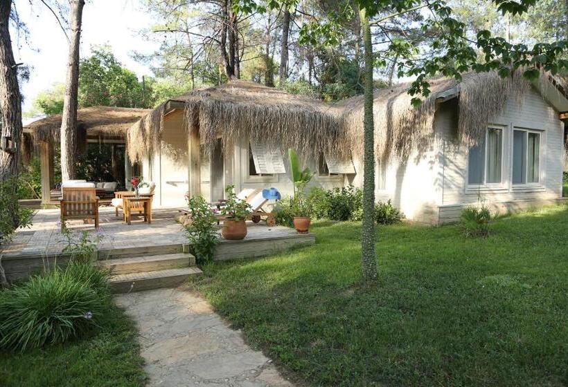 1 베드룸 수피리어 스위트, Golden Key Bordubet