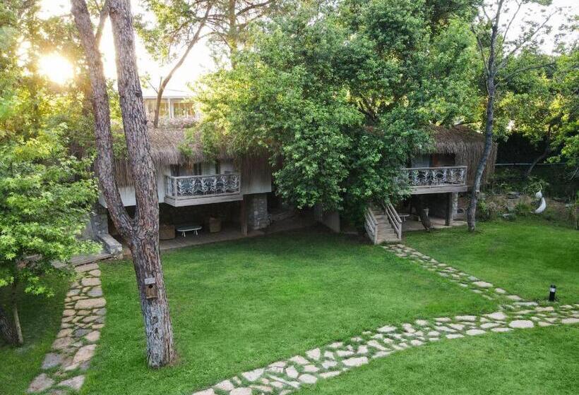 이그제큐티브 스위트, Golden Key Bordubet