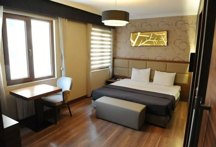 اتاق استاندارد, Izmıt Saray
