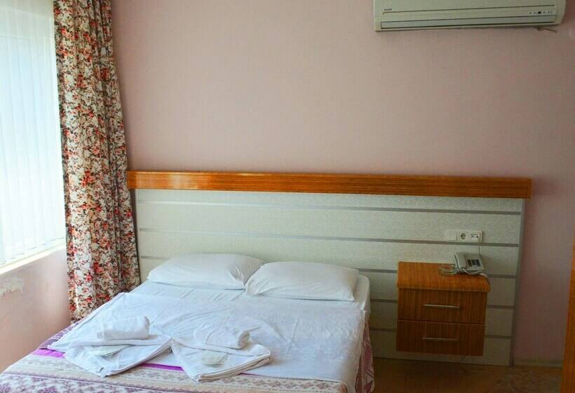 اتاق اکونومی, ülke