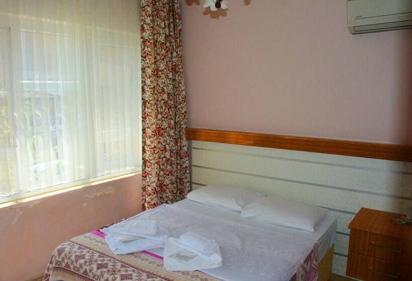 اتاق اکونومی, ülke