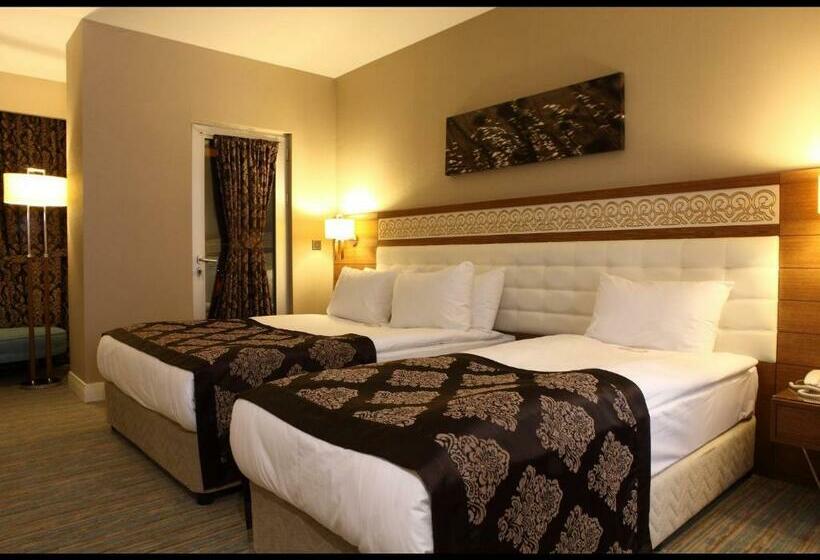 スタンダードルーム, Sivas Revag Otel