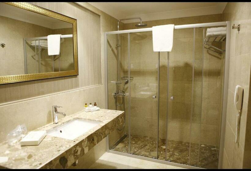 スタンダードルーム, Sivas Revag Otel