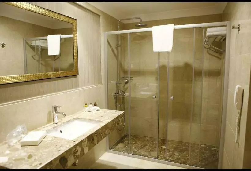اتاق استاندارد, Sivas Revag Otel